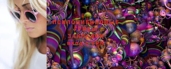 эйфоретик Медногорск