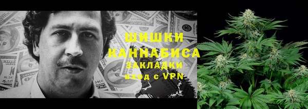 мдпв Мегион