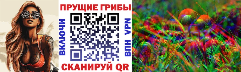 блэк спрут ТОР  как найти   Таштагол  Псилоцибиновые грибы MAGIC MUSHROOMS 